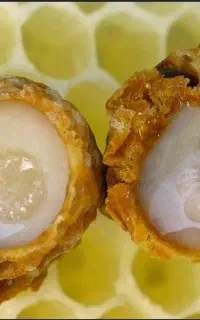 ژل رویال . شاه انگبین درجه یک و با کیفیت