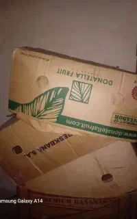 کارتن موزی