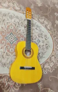 گیتار ایرین