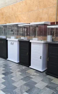 اکواریوم شرکتی
