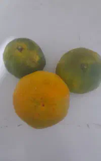 قیمت ۵۰