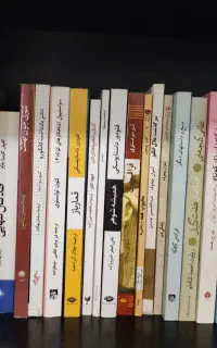 حراج کتاب رمان خارجی و ایرانی و شاهنامه و ...