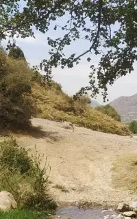 جویای کار در اکبرآباد هستم