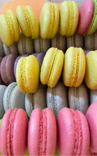 سفارش ماکارون و کیکهای کافی‌شاپ برای کافه‌ها و ..