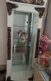 جاکفشی و بوفه