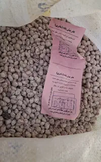 لوبیا چیتی بذر مادری