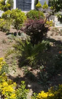 خدمات باغبانی سمپاشی کرج و تهران
