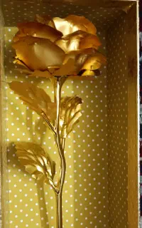گل رز  طلایی با بسته بندی