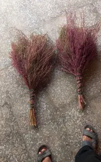 جارو