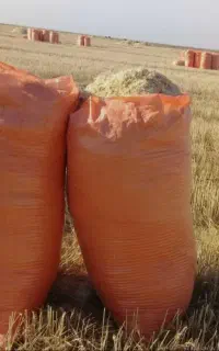 کاه