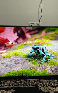 تلویزیون مارک ایکس ویژن 43 اینچ LED هوشمند