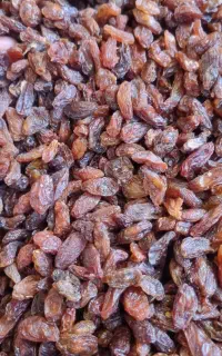 فروش کشمش آفتابی(گله)
