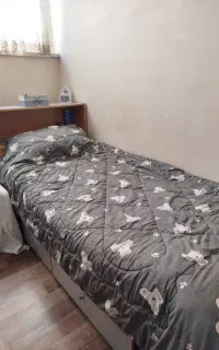 تخت یک نفره آپادانا