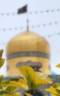 کاروان مشهد با قطار