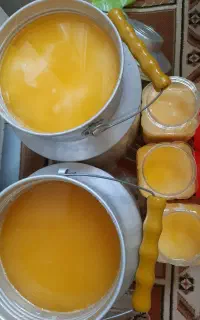 روغن حیوانی گاوی و گوسفندی (عمده و خرده)