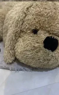 خرس بامزه با تخفیف