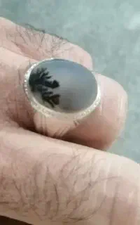 انگشتر شجر