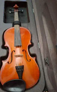 ویلن vf111
