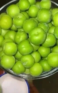 .. باغبانی ویژه.. و اجاره نقدی سالانه باغ شما