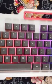 موس و کیبورد