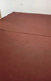 موکت سالم