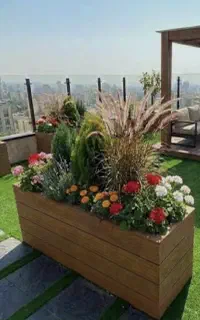فضای سبز