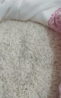 برنج شمال