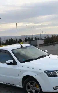 دنا معمولی تیپ ۲