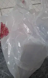 پیدا شده