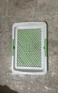 سینی آموزش ادار سگ