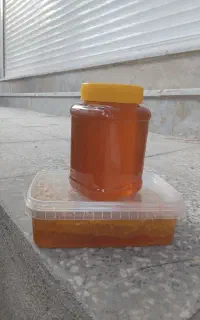 عسل خلخال