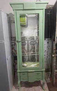 قفس بزرگ حراج شد