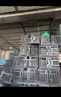 سبد میوه