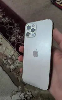 12pro