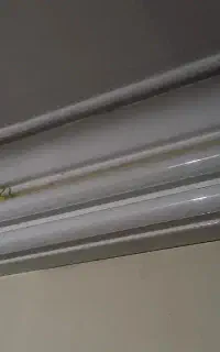 مهتابی جفتی    با دوتا لامپ هاش کامل