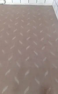 موکت ظریف مصور