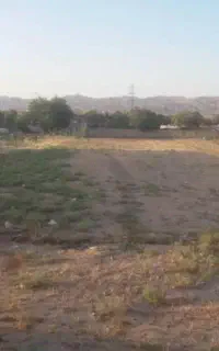 زمین کشاورزی