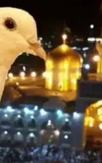 مشهد مقدس اقتصادی و تمیز