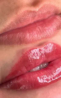 فیبروز،شیدلب