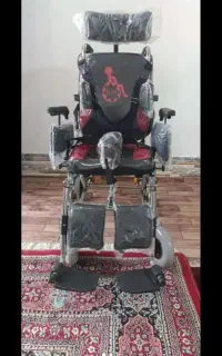 ویلچر