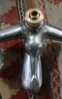 شیر حمام قهرمان