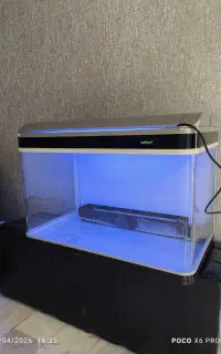 اکواریوم برند ماهیران