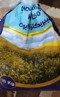 بذرکلزاهیولا۵۰