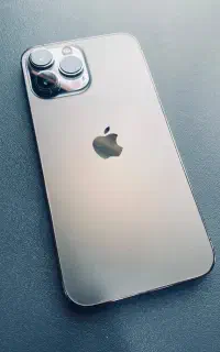 ۱۳پرومکس