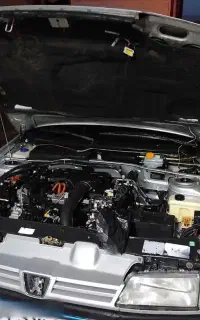 پژو ۴۰۵ دوگانه کارخانه