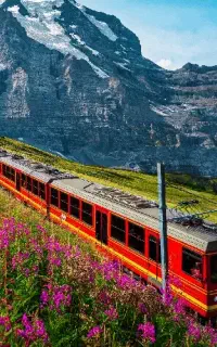 رزرو بلیط قطار در مسیرهای پرتردد کشور