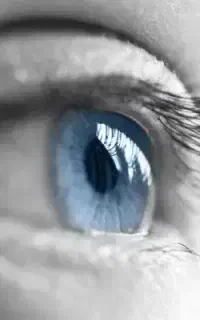 فردا جراح و متخصص چشم پزشکی درکلینیک حکیم