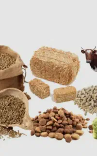 یونجه،گندم،جو،ذرت