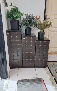 جا کفشی