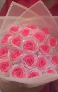 تخفیفات ویژه گل ربانی/روبانی روز جهانی دختر نزدیکه